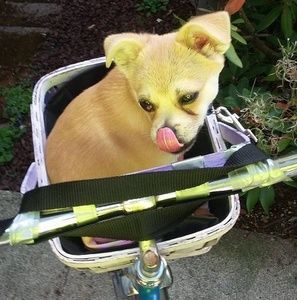 Meet your Posher, Lena